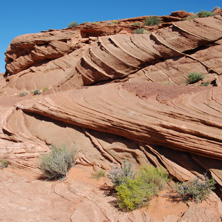 Page - Horseshoe Bend